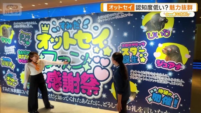 オットセイをもっと知ってもらうためのイベントを開催
