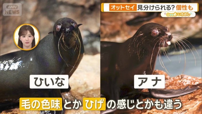 どうやって見分ける？
