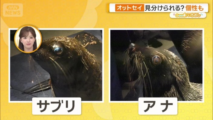 比較すると…