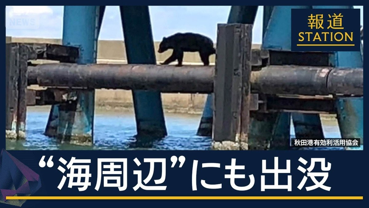 専門家「川のまわりが隠れ場に」住宅地や釣り場で目撃…“海周辺”にもクマ出没