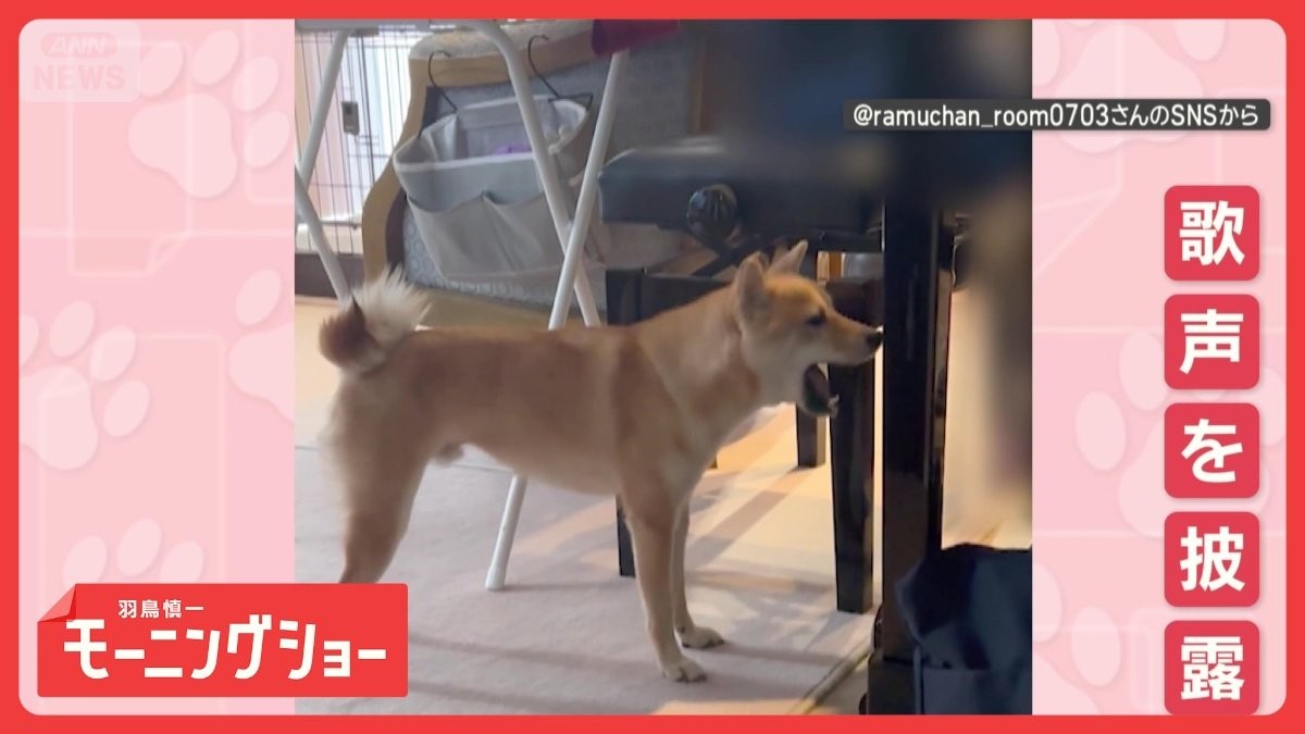 まるでオペラ歌手！ピアノに合わせて歌声を披露　ビブラートもワンだふる　なぜ熱唱？