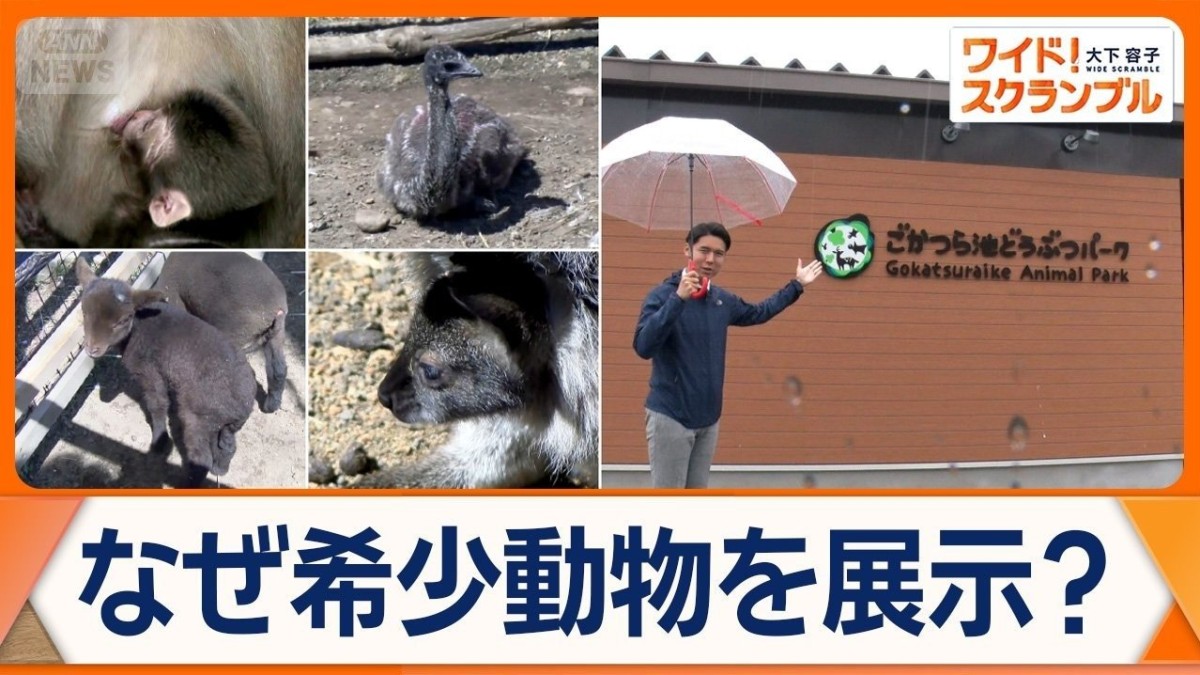 三重に希少動物の宝庫 「小さな動物園」再生物語 園長は野生動物飼育