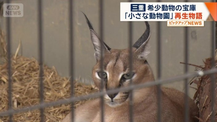 画像まとめ】三重に希少動物の宝庫 「小さな動物園」再生物語 園長は