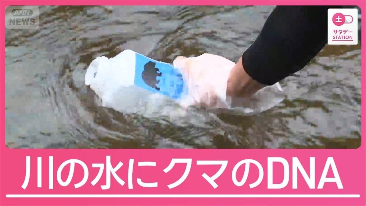 “山レジャー”本格化 課題はクマとの遭遇回避 注目の最新研究とは？