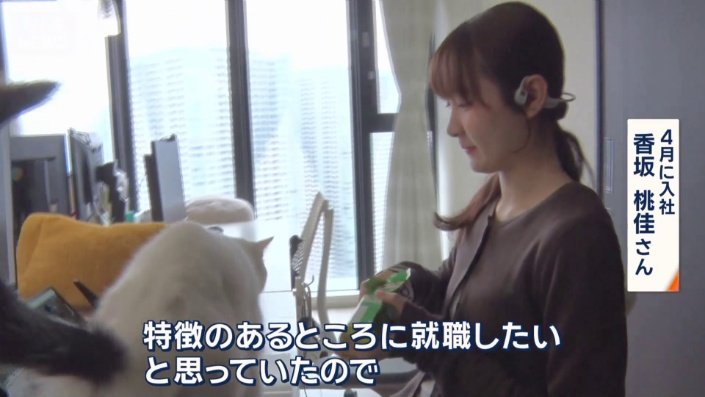 入社理由は？
