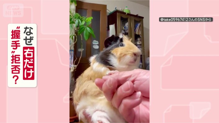 なぜ右はダメなの？