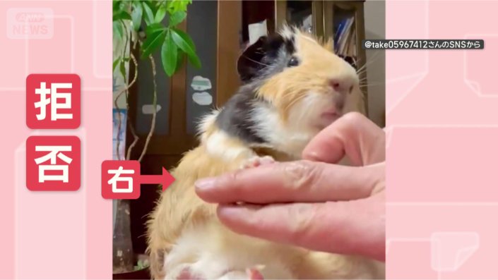 右はダメだってば！