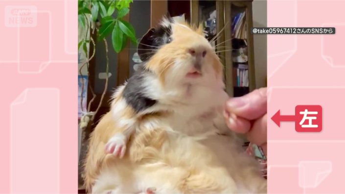 左はいいよ