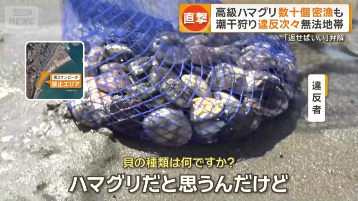 網には数十個のハマグリが…