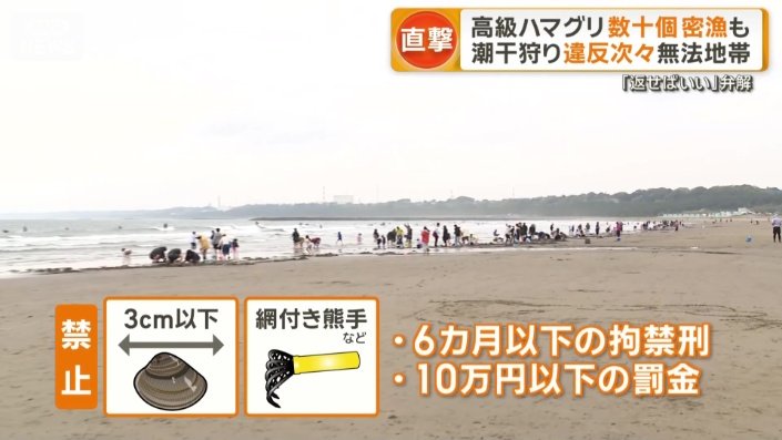 ビーチでは厳格なルールも