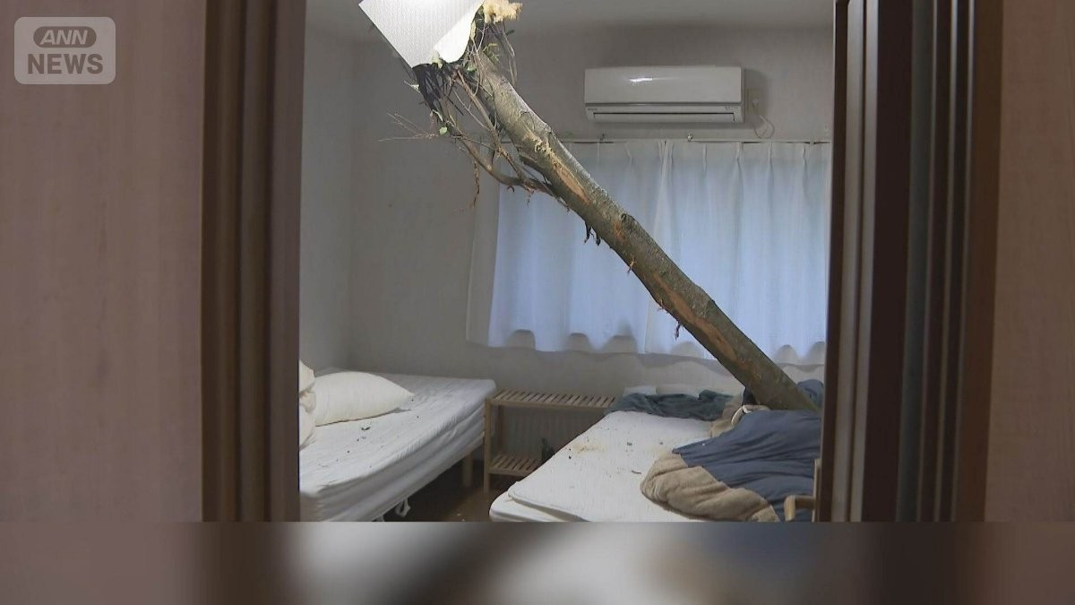 GW天気大荒れ　自宅に大木突き刺さる　強風でフェス中止　東京湾アクアライン通行止め