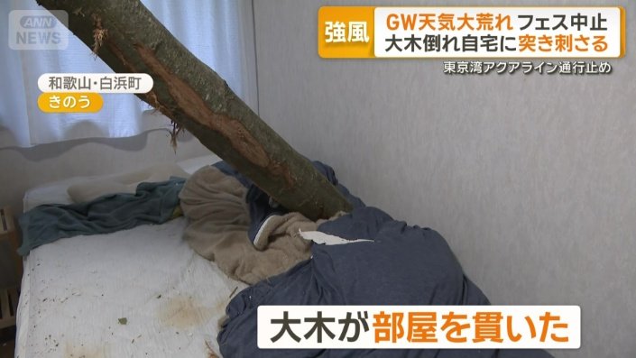 部屋を貫いた樹木