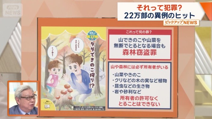 ハイキングでキノコ狩りは？