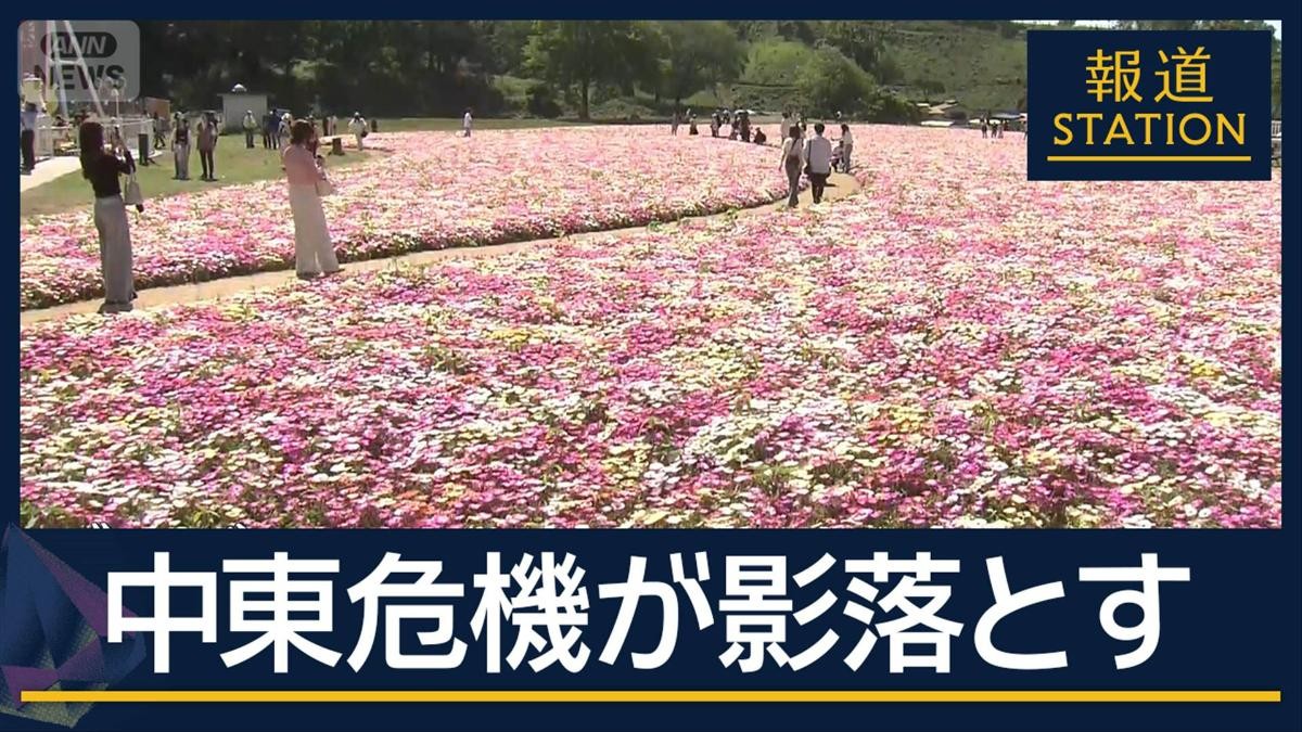 ユリの花畑“14分の1”に縮小　祭りの屋台にも…GWに中東危機の“影”