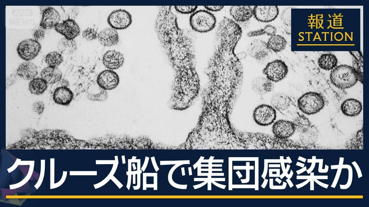 【報ステ解説】日本に拡大の可能性は?“ハンタウイルス”クルーズ船で集団感染か