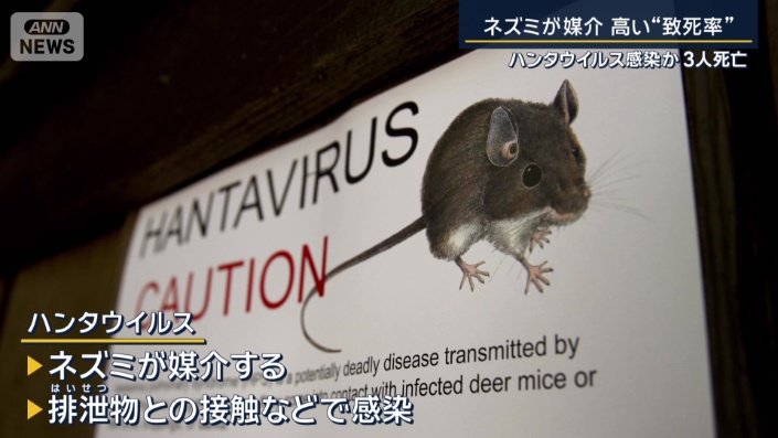 ハンタウイルス