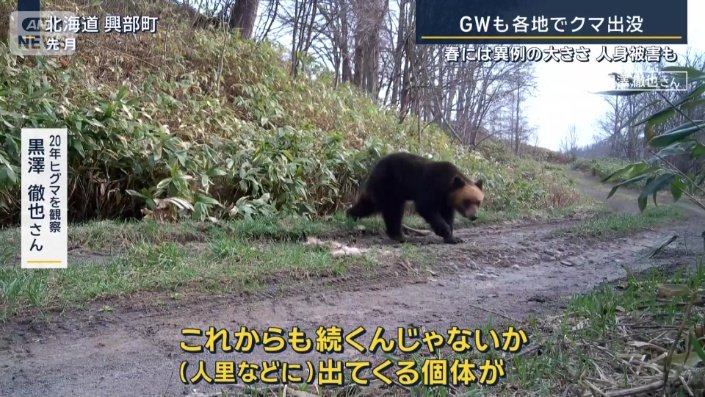 20年ヒグマを観察　黒澤徹也さん