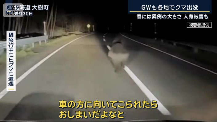 旅行中にヒグマに遭遇