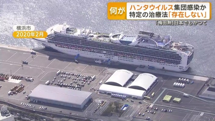 「ダイヤモンド・プリンセス」号