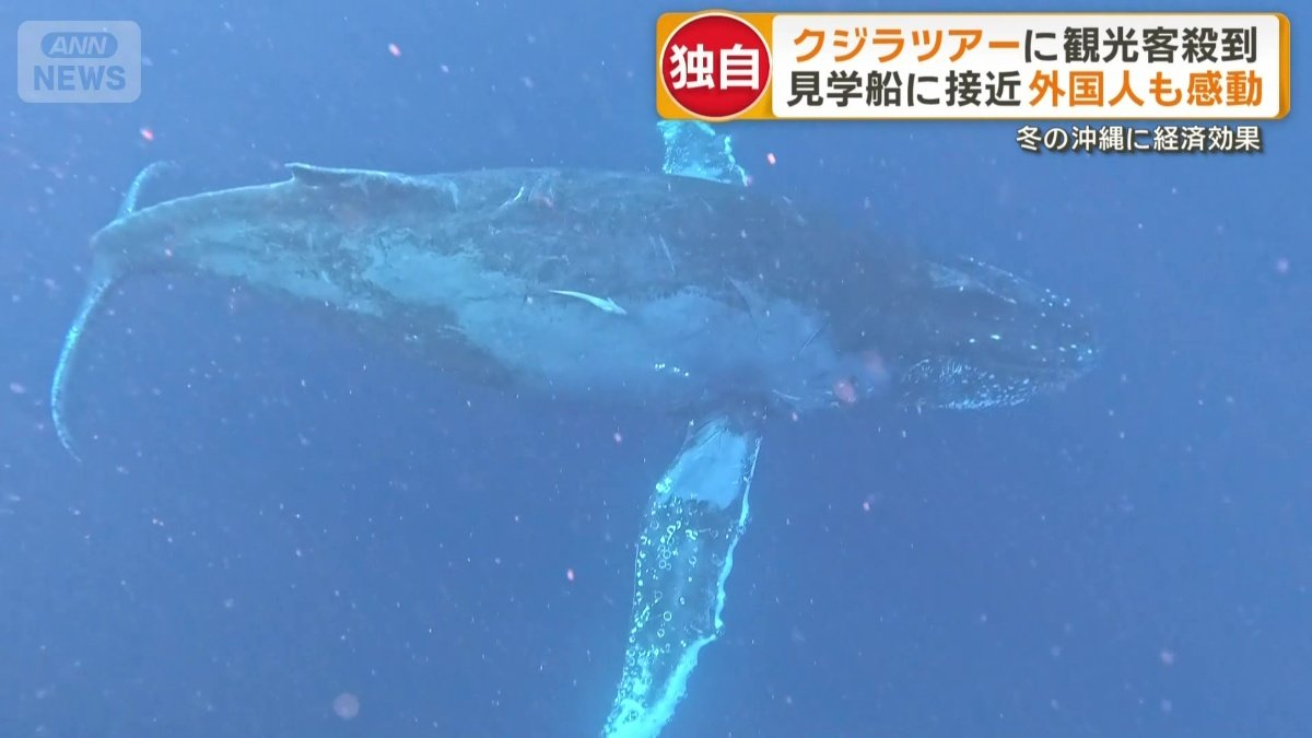 冬の沖縄に新たな経済効果