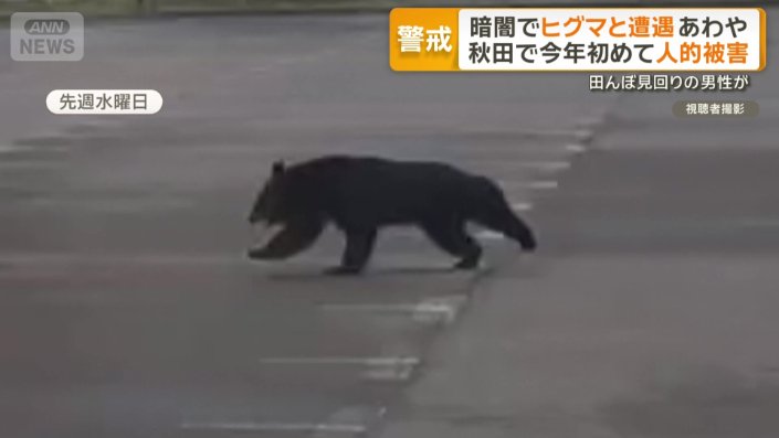 視聴者撮影