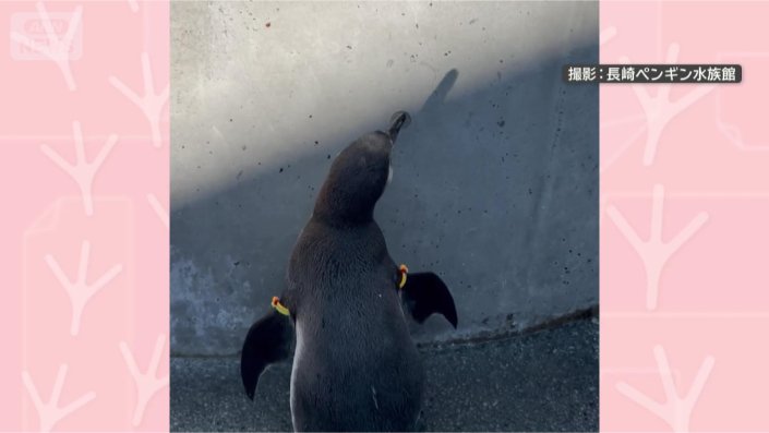 負けないぞ