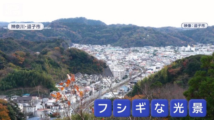 神奈川県逗子