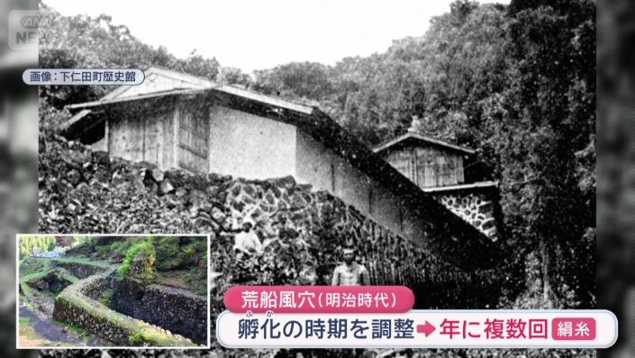 カイコのための施設