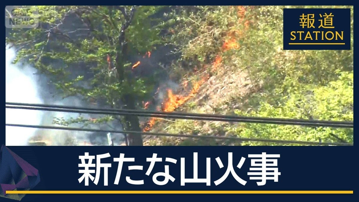 大規模な山林火災から2週間…大槌町で新たな山火事　前回の現場はクマが鎮火阻む