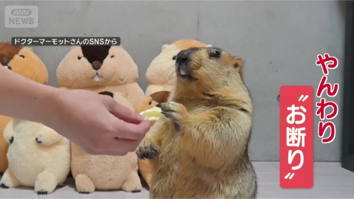 遠慮します