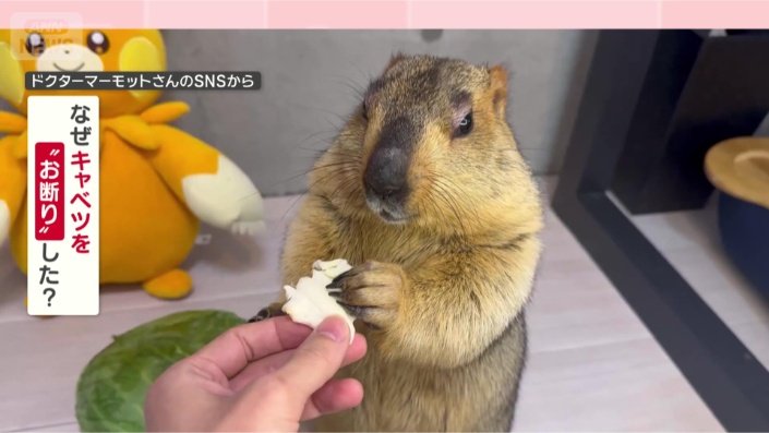なぜお断りしたの？