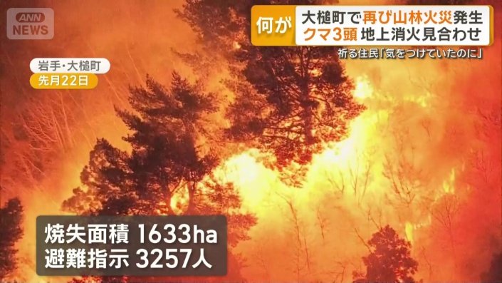 平成以降 国内2番目となる焼失面積