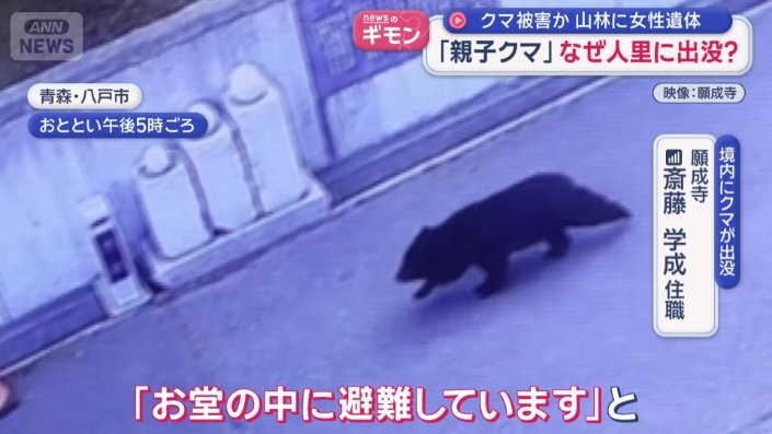 寺の防犯カメラが捉えたクマ