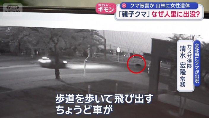 「ちょうど車が」