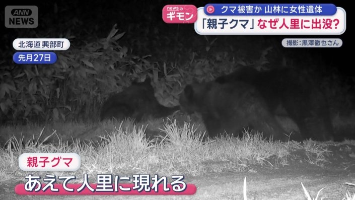 親子のクマが「あえて人里に現れる」と指摘