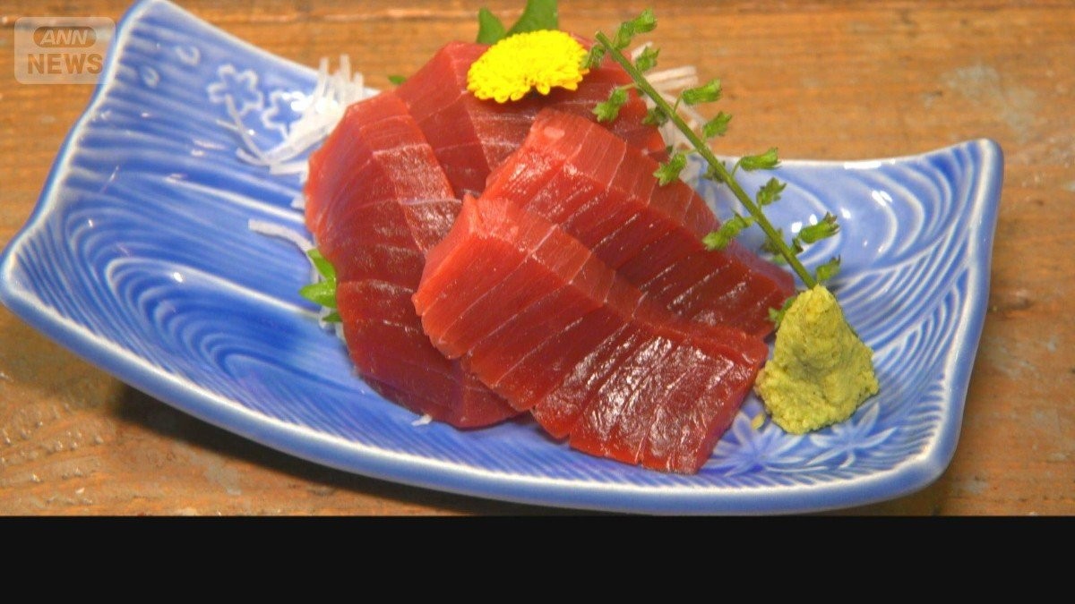 福井でクロマグロ取れ過ぎ　漁獲枠オーバーで逃がす事態　漁協「網に入らないで」