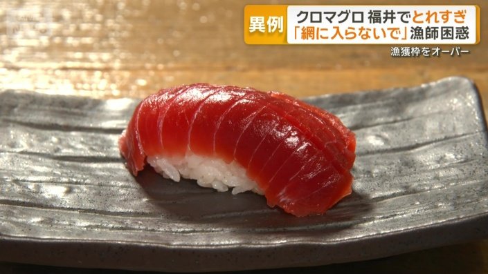 クロマグロの握り