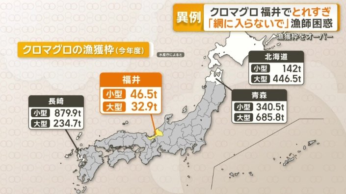 クロマグロの漁獲枠（今年度）