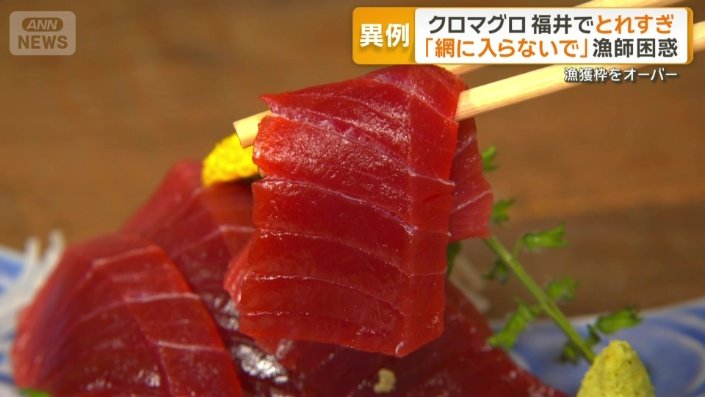 クロマグロの刺し身