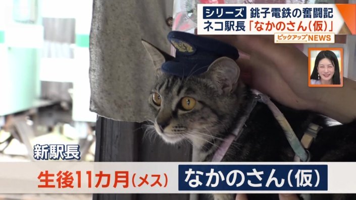 なかのさん(仮)
