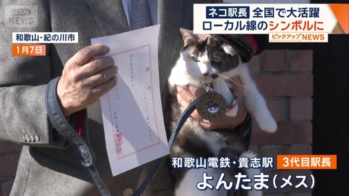 「よんたま」が就任