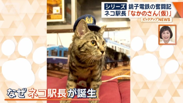 なぜ、ネコの駅長が誕生?