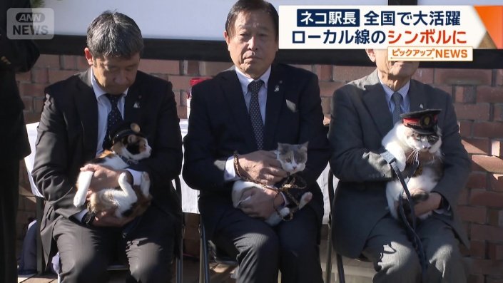 「ごたま」と「ろくたま」も仲間入り