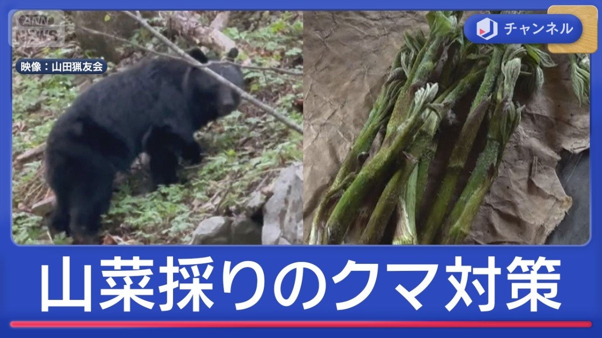 山菜採り中にクマ被害続出　名人が伝授！カギ握る「鈴の音」