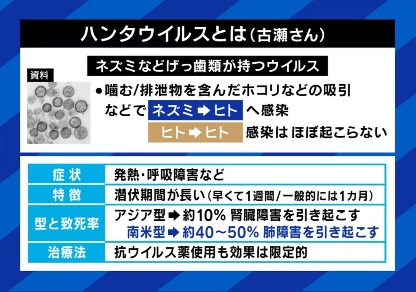 ハンタウイルスとは