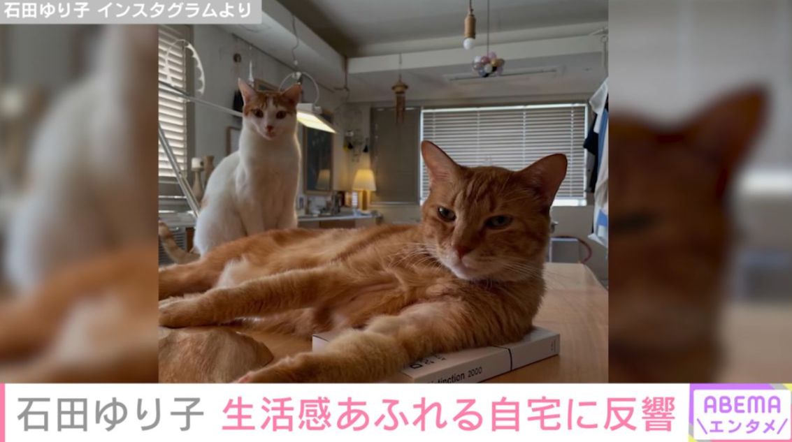 ハニオとこっちっち