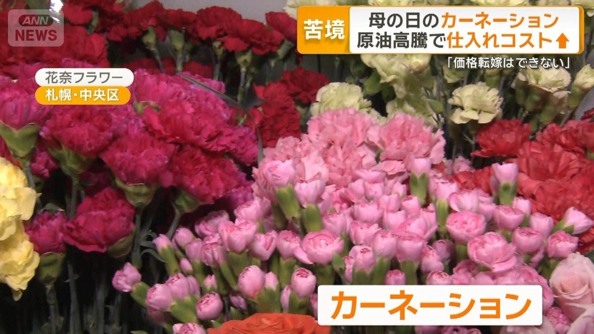 「母の日」のカーネーションにも中東情勢の暗い影　原油高騰で仕入れコストアップ