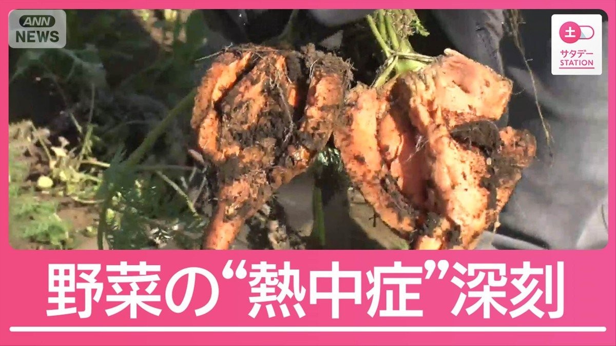 5月後半から顕著な高温の可能性「暑くなるスピード早い」野菜の“熱中症”も深刻
