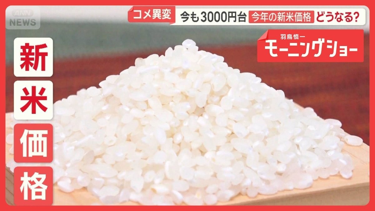 今年の新米価格どうなる？　コメ余り…農家「たぶん暴落」　田植え最盛期に現場異変