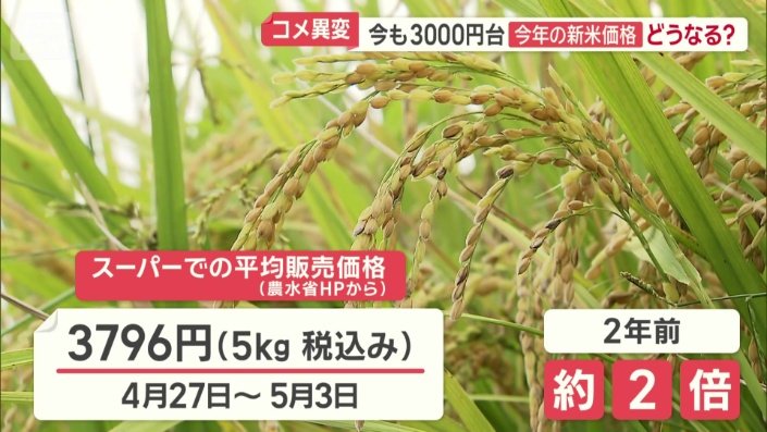 スーパーでのコメ平均価格は3796円（5kg 税込み）